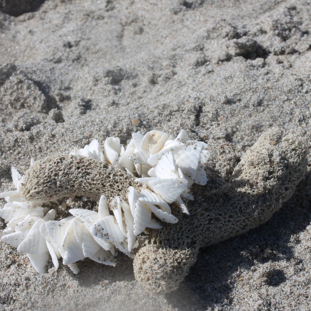 Bermuda Triangle Sea Shell Bracelets - Picture 4 of 5